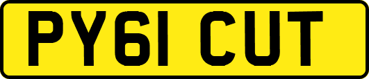 PY61CUT