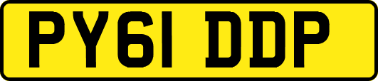 PY61DDP