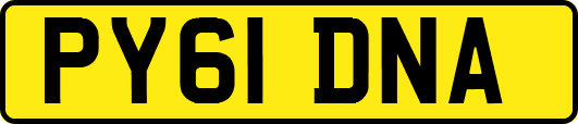 PY61DNA