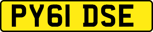 PY61DSE