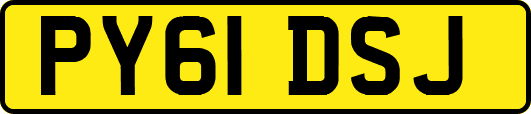 PY61DSJ