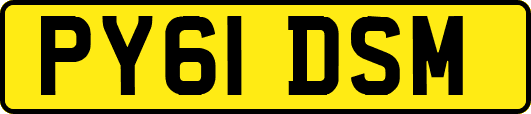 PY61DSM