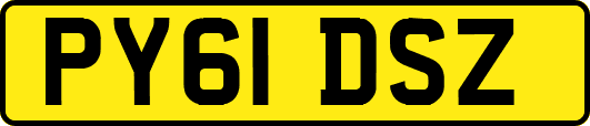 PY61DSZ