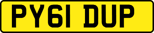 PY61DUP