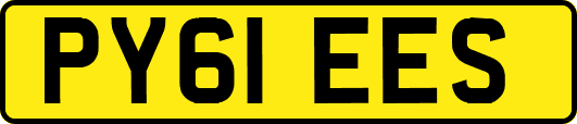 PY61EES