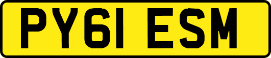 PY61ESM