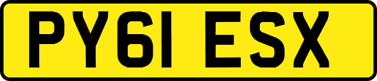 PY61ESX