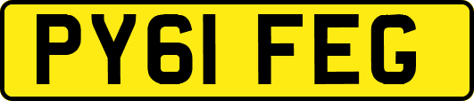 PY61FEG