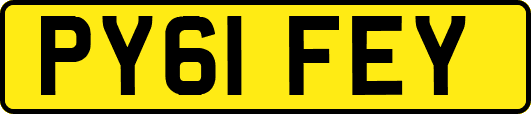 PY61FEY