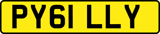 PY61LLY