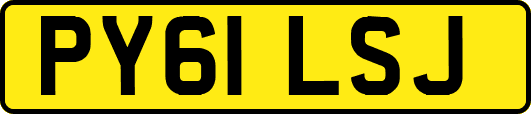 PY61LSJ