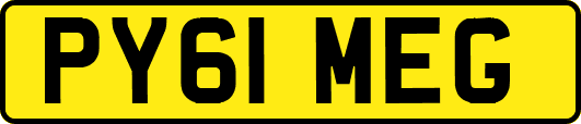 PY61MEG
