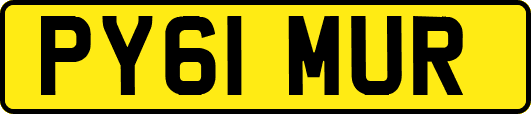 PY61MUR