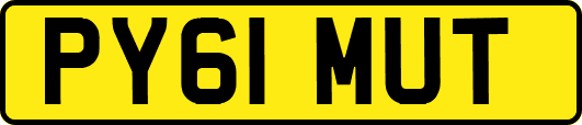 PY61MUT
