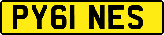 PY61NES