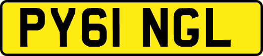 PY61NGL