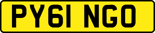 PY61NGO