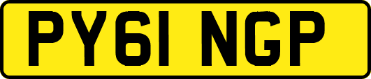PY61NGP