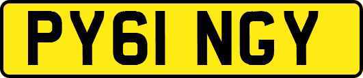 PY61NGY