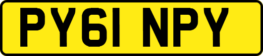 PY61NPY