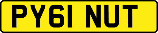PY61NUT
