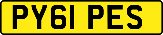 PY61PES