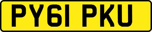 PY61PKU