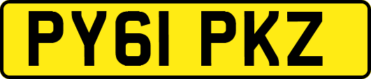 PY61PKZ