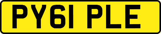 PY61PLE