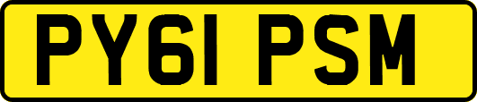 PY61PSM