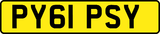 PY61PSY