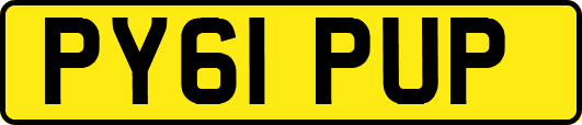 PY61PUP