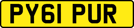 PY61PUR