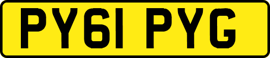 PY61PYG