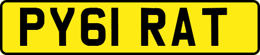 PY61RAT