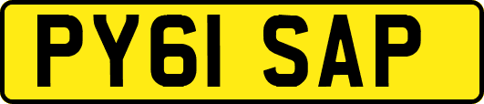 PY61SAP
