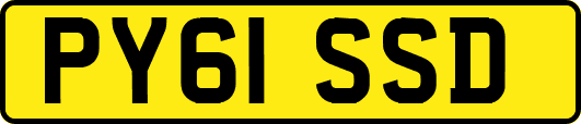 PY61SSD