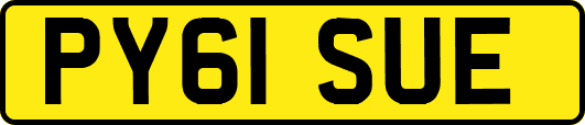 PY61SUE