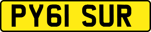 PY61SUR
