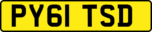 PY61TSD