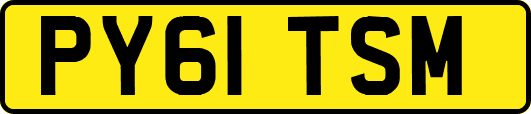 PY61TSM