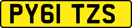 PY61TZS