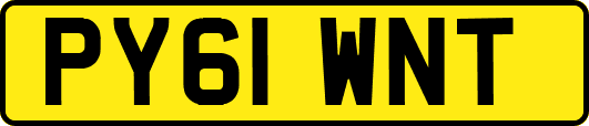 PY61WNT