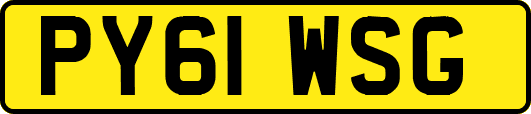PY61WSG