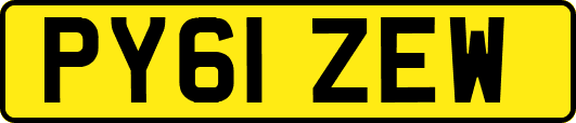 PY61ZEW