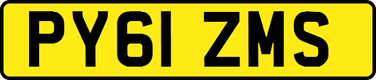 PY61ZMS