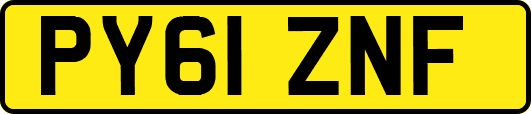 PY61ZNF