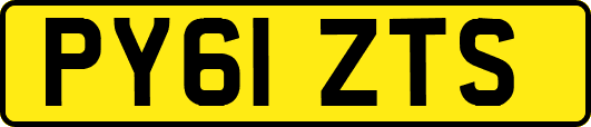 PY61ZTS