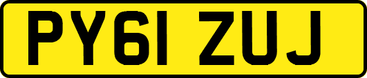 PY61ZUJ