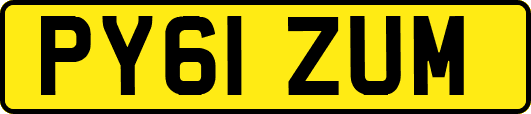 PY61ZUM
